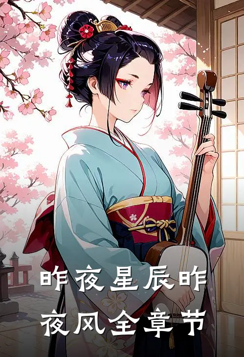 昨夜星辰昨夜风全章节