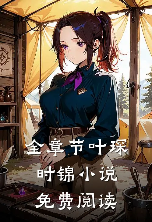 全章节叶琛时锦 小说免费阅读