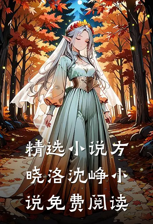 精选小说方晓洛沈峥小说免费阅读