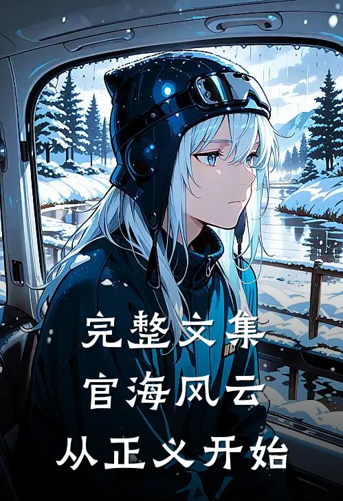 完整文集官海风云：从正义开始