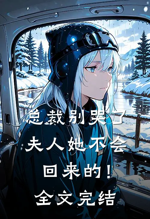 总裁别哭了，夫人她不会回来的！全文完结