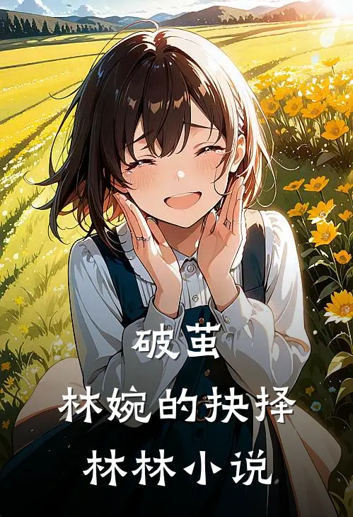 破茧：林婉的抉择林林小说