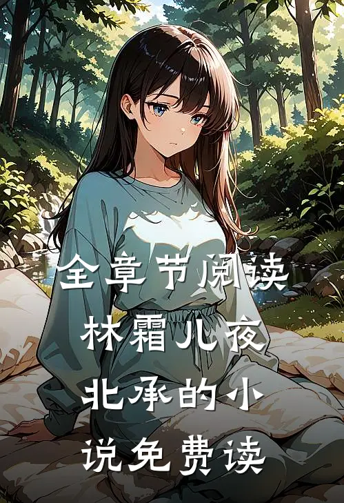 全章节阅读林霜儿夜北承的小说免费读
