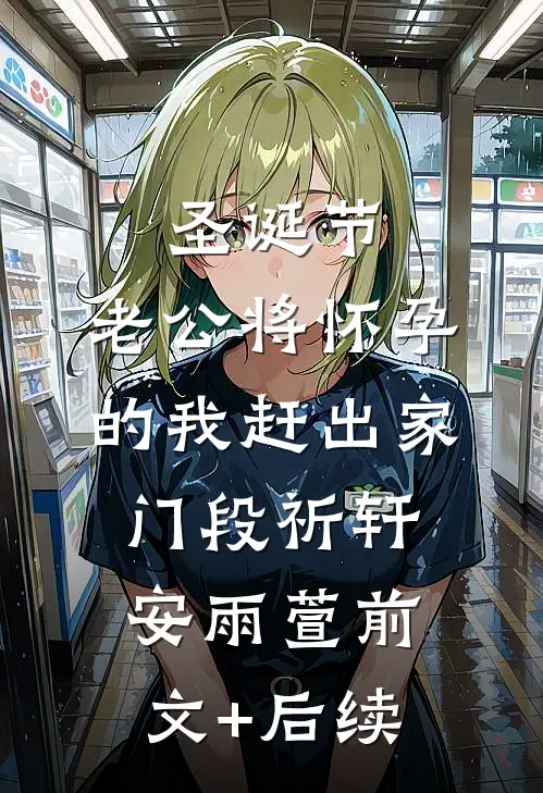圣诞节，老公将怀孕的我赶出家门段祈轩安雨萱前文+后续