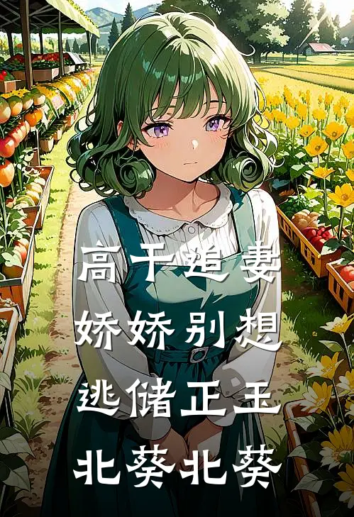 高干追妻：娇娇别想逃储正玉北葵北葵