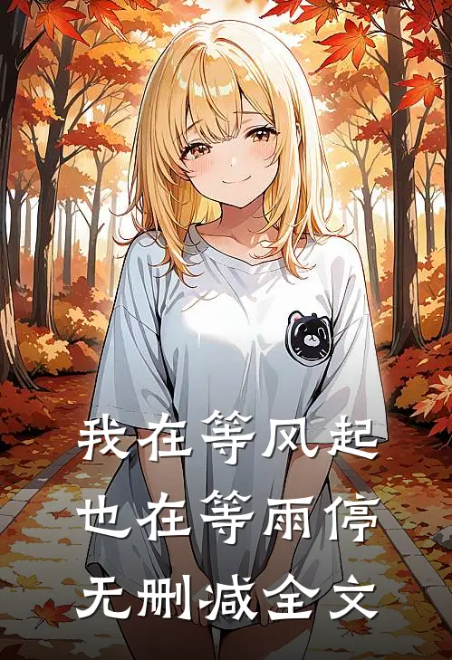 我在等风起,也在等雨停无删减全文在线阅读