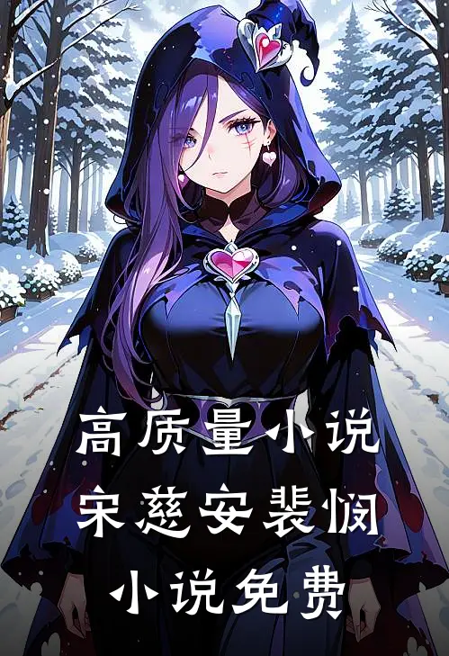 高质量小说宋慈安裴悯小说免费
