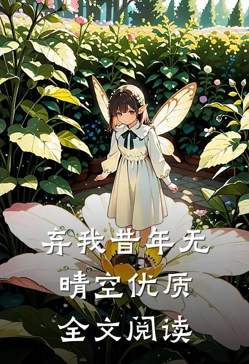 弃我昔年无晴空优质全文阅读