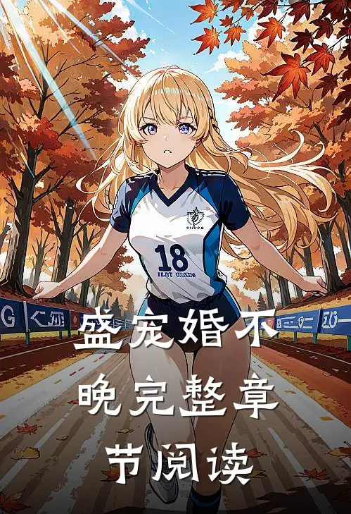 盛宠婚不晚完整章节阅读