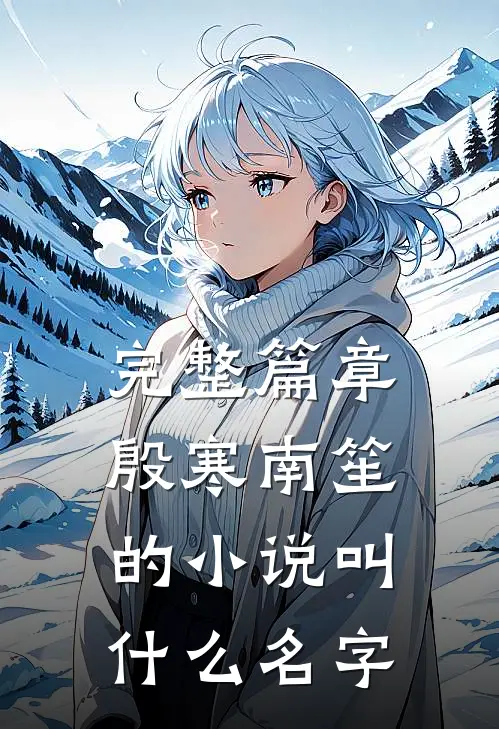 完整篇章殷寒南笙的小说叫什么名字