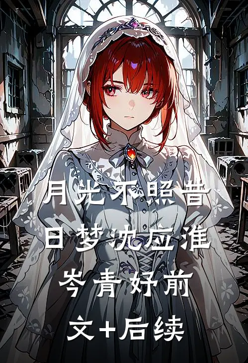 月光不照昔日梦沈应淮岑青妤前文+后续