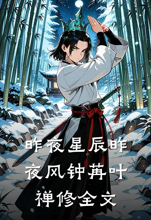 昨夜星辰昨夜风钟苒叶禅修全文