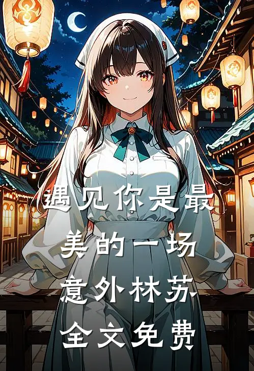 遇见你是最美的一场意外林苏全文免费