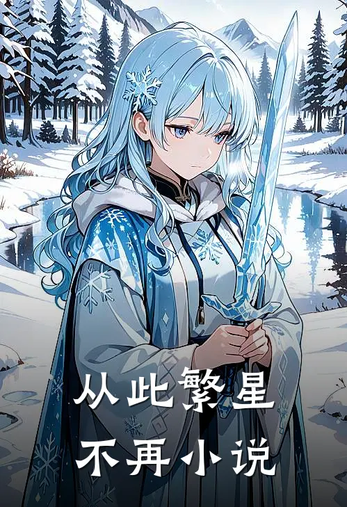 从此繁星不再小说