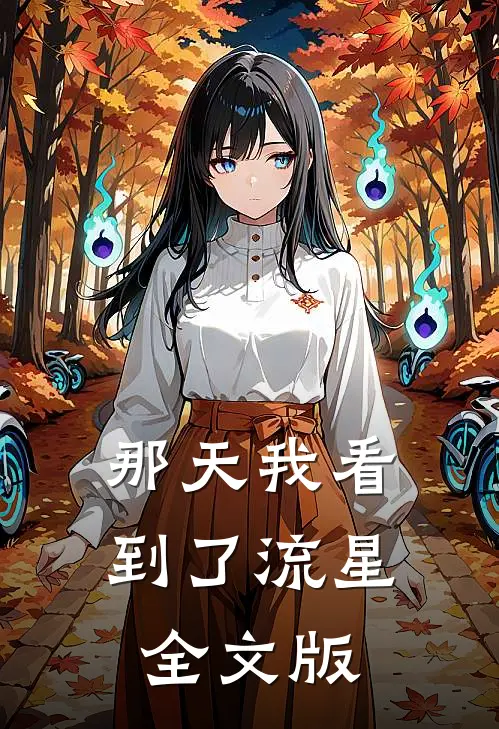 那天我看到了流星全文版