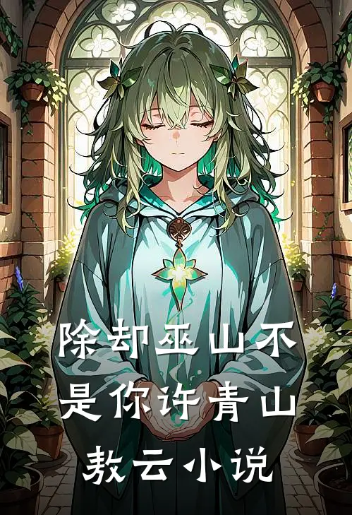除却巫山不是你许青山敖云小说
