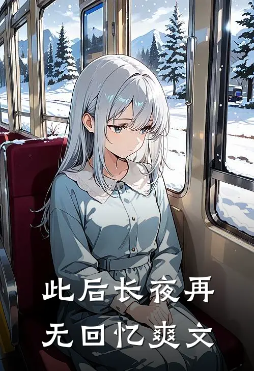 此后长夜再无回忆爽文