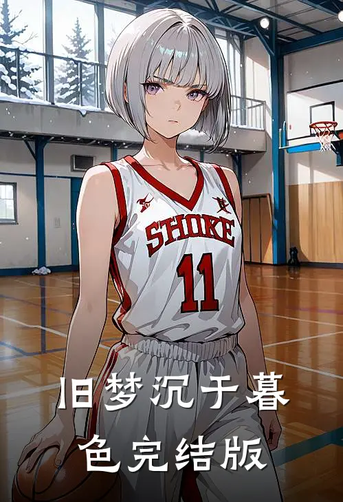旧梦沉于暮色完结版