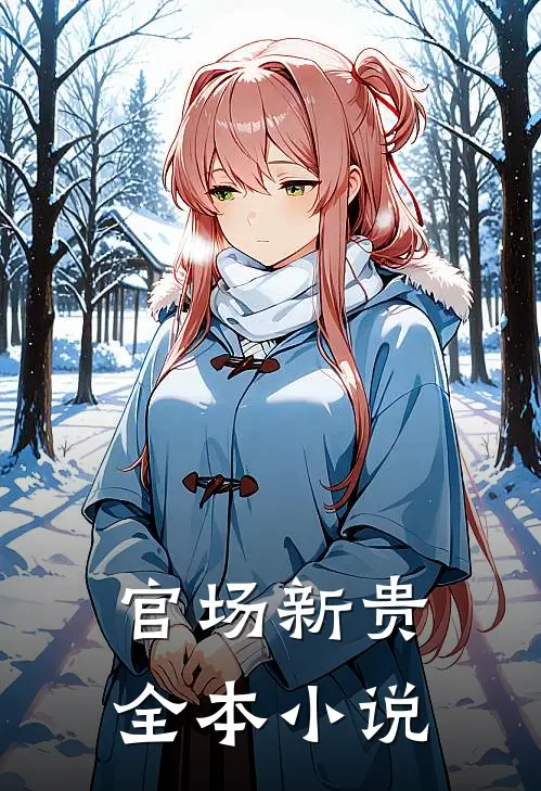 官场新贵全本小说