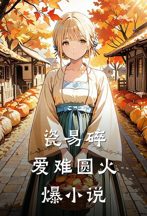瓷易碎，爱难圆火爆小说