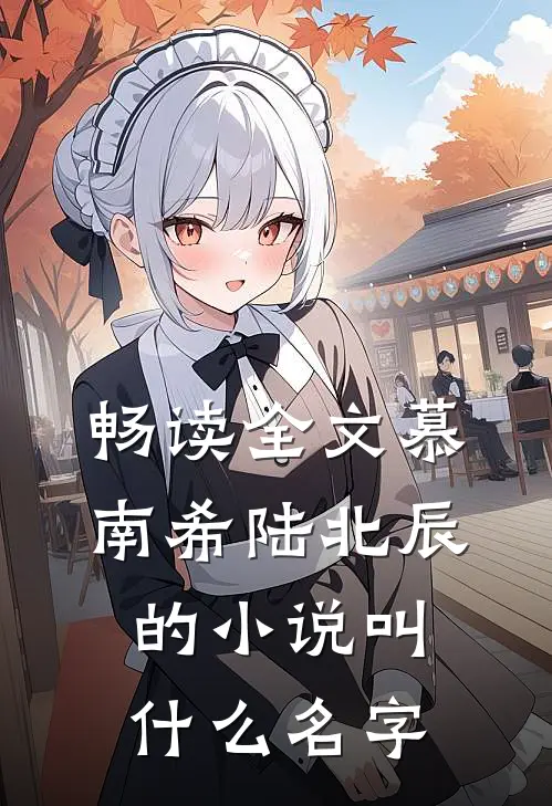 畅读全文慕南希陆北辰的小说叫什么名字