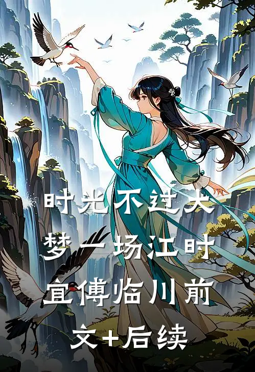时光不过大梦一场江时宜傅临川前文+后续
