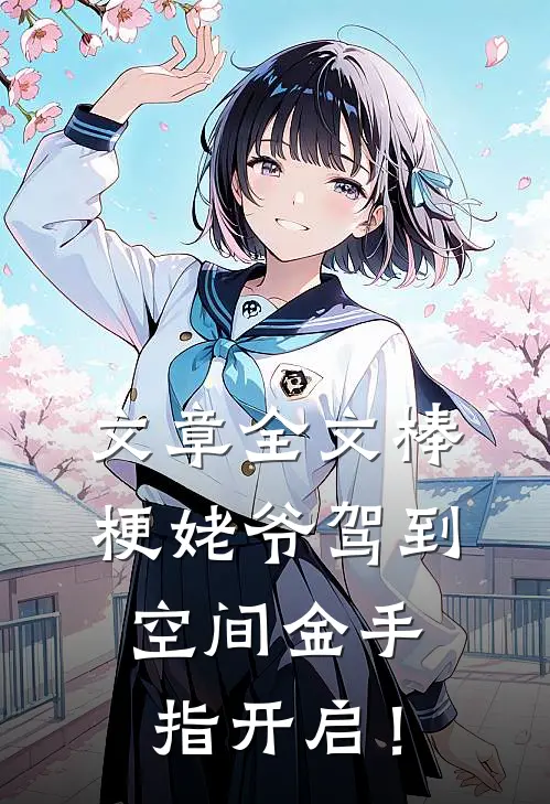 文章全文棒梗姥爷驾到，空间金手指开启！