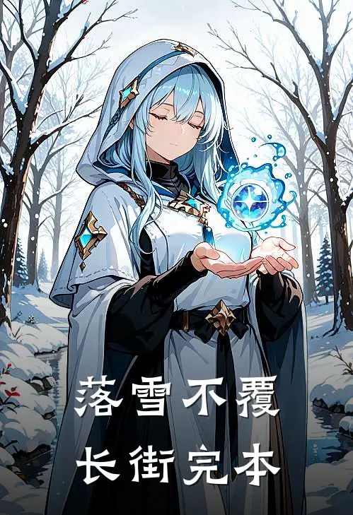 落雪不覆长街完本