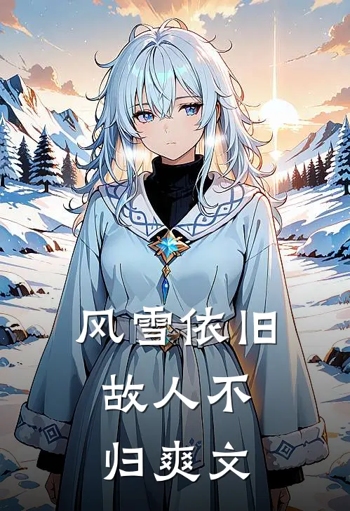风雪依旧，故人不归爽文