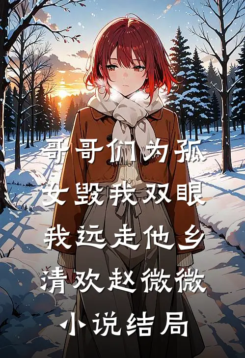 哥哥们为孤女毁我双眼，我远走他乡清欢赵微微小说结局