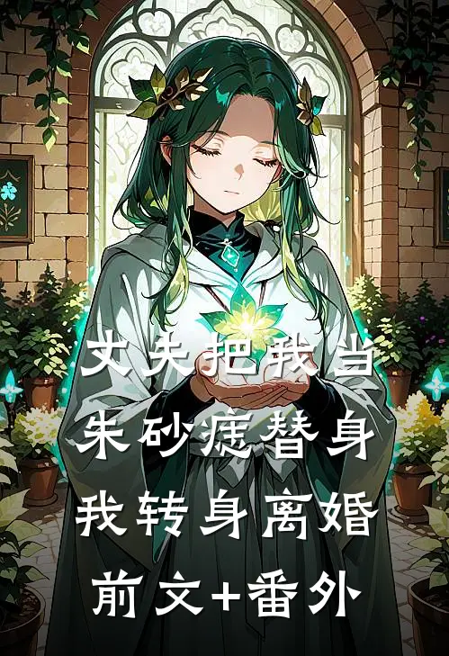 丈夫把我当朱砂痣替身，我转身离婚前文+番外