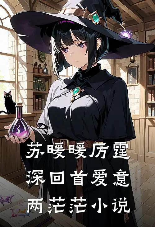 苏暖暖厉霆深回首爱意两茫茫小说