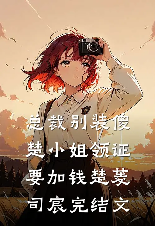 总裁别装傻，楚小姐领证要加钱楚菱司宸完结文