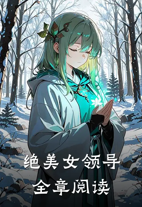 绝美女领导全章阅读