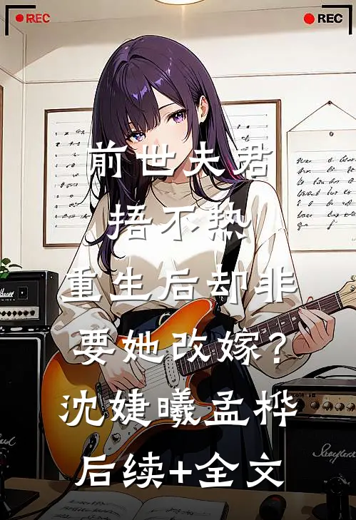 前世夫君捂不热，重生后却非要她改嫁？沈婕曦孟桦后续+全文