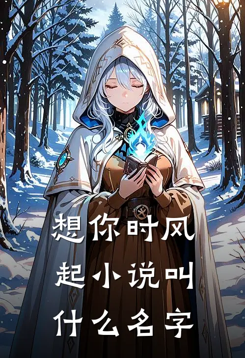 想你时风起小说叫什么名字