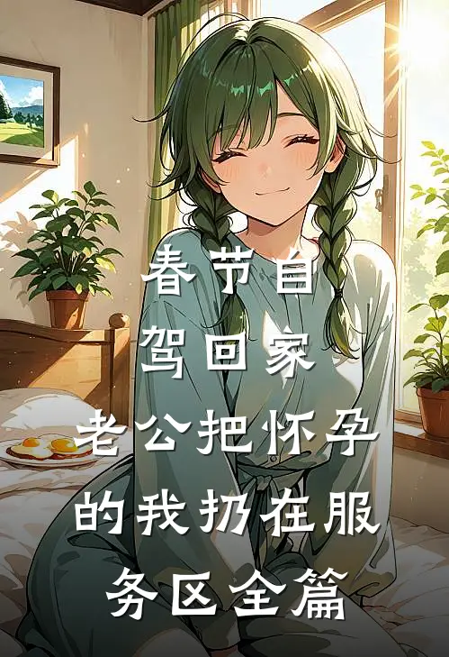 春节自驾回家，老公把怀孕的我扔在服务区全篇