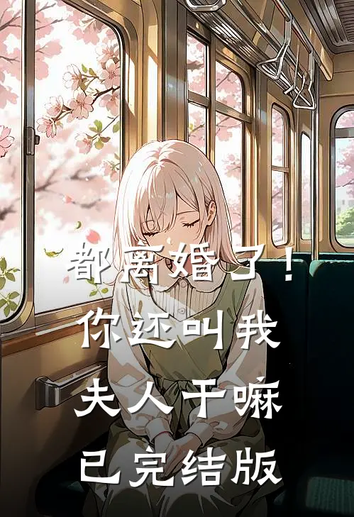 都离婚了！你还叫我夫人干嘛已完结版