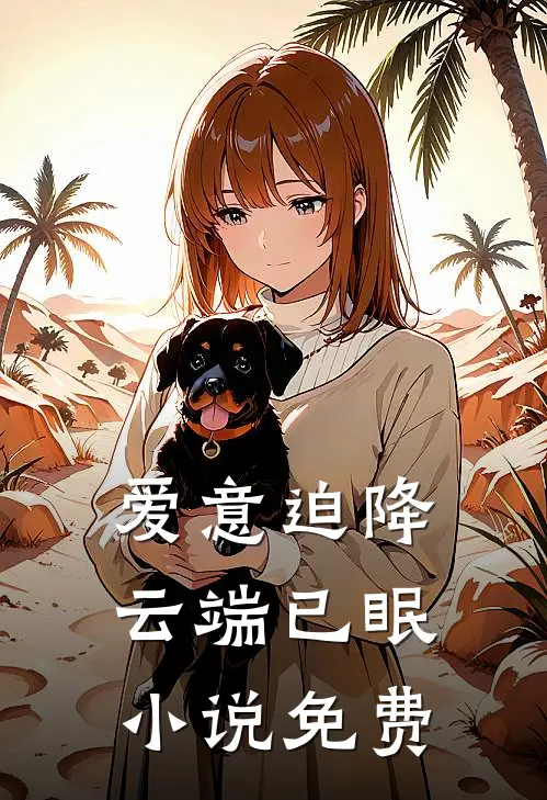 爱意迫降，云端已眠小说免费