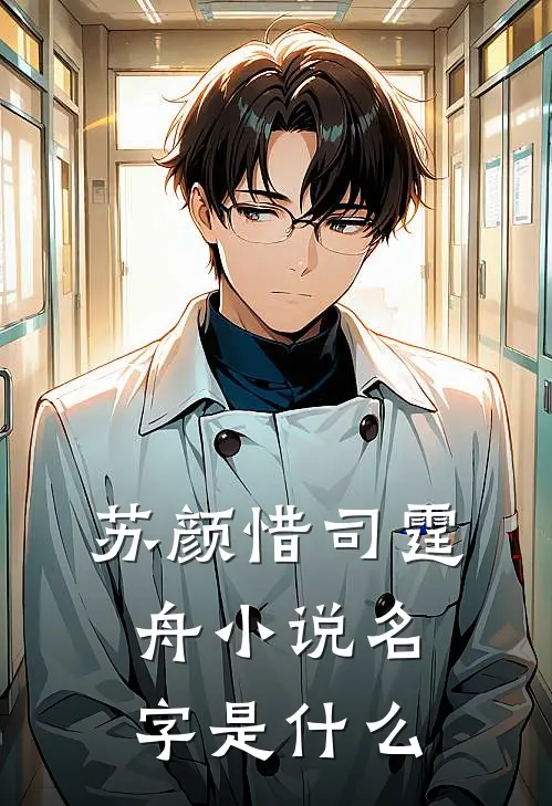  苏颜惜司霆舟小说名字是什么