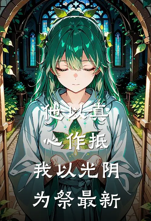 他以真心作抵，我以光阴为祭最新