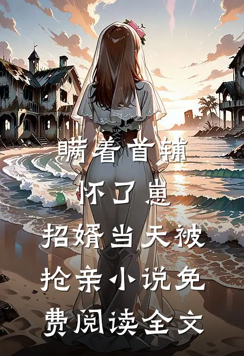 瞒着首辅怀了崽，招婿当天被抢亲小说免费阅读全文