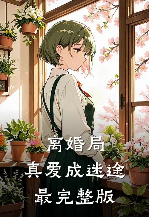 离婚局，真爱成迷途最完整版