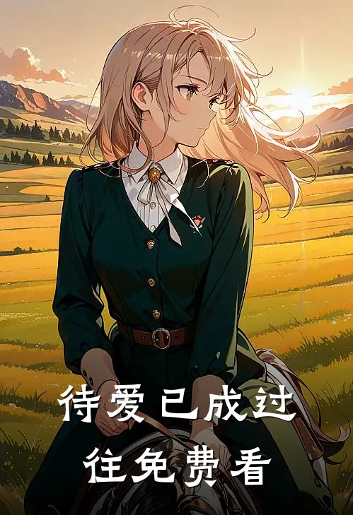 待爱已成过往免费看