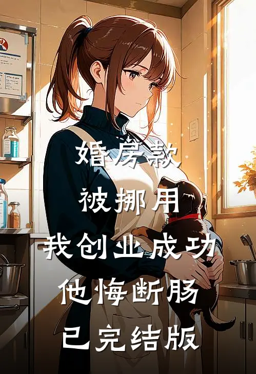 婚房款被挪用，我创业成功他悔断肠已完结版
