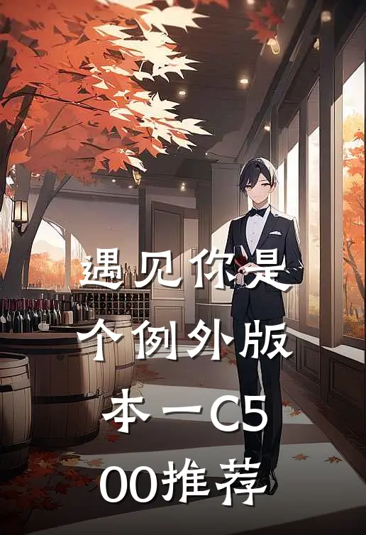 遇见你是个例外 版本一C500推荐