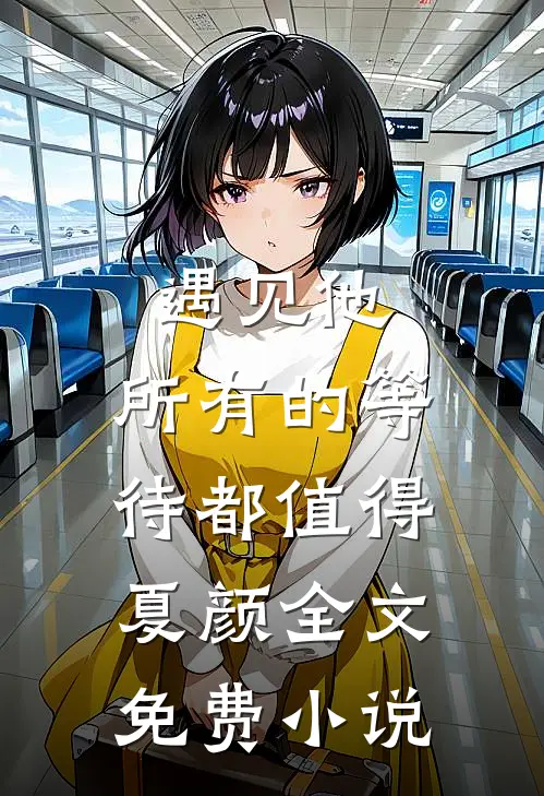 遇见他，所有的等待都值得夏颜全文免费小说