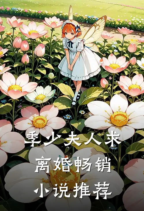 季少夫人求离婚畅销小说推荐