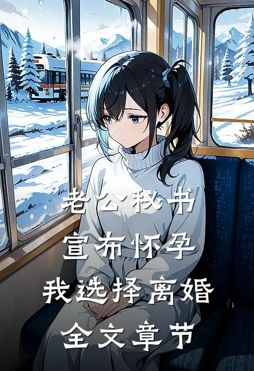 老公秘书宣布怀孕，我选择离婚全文章节