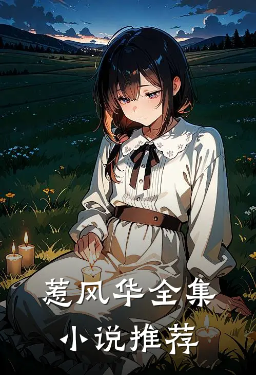 惹风华全集小说推荐